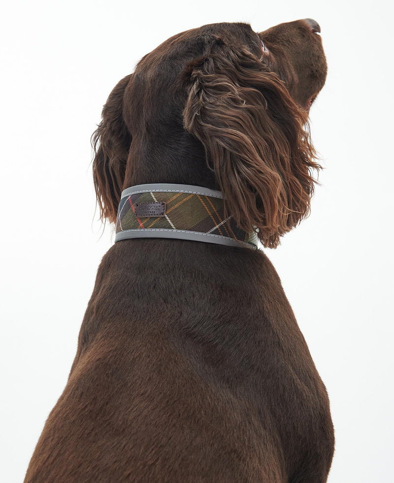 Reflective Tartan Comfort Dog Collar - Barbour