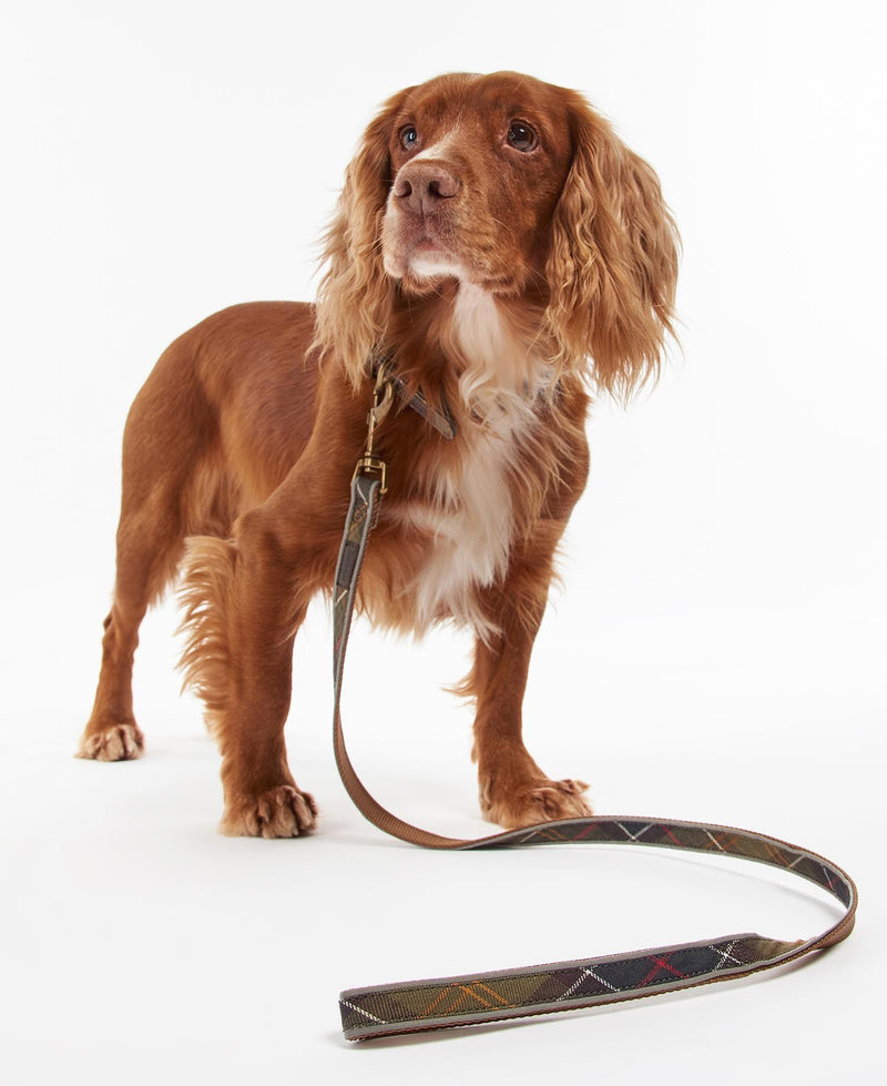Reflective Tartan Dog Lead - Barbour