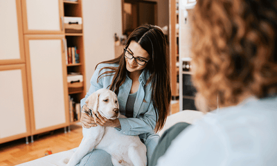 The role of dogs in therapy and emotional support