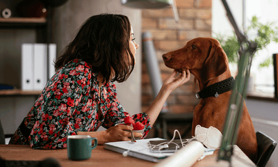 Unleashing happiness at work: the power of dogs in the workplace for employee wellbeing