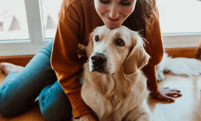 Pawsitive effects: how dogs can boost our mental health