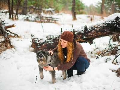 Our top tips for winter dog care
