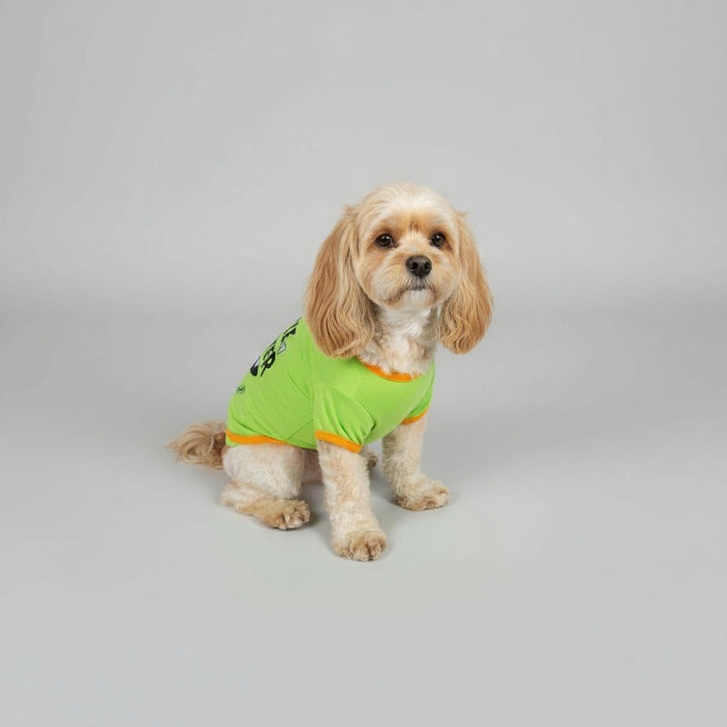 Little Monster Dog Jumper – Funny Halloween Pet Outfit