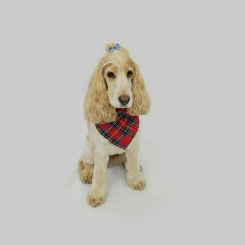 Red Plaid Dog Bandana – Classic Tartan Pet Scarf