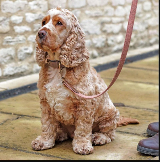 Sandstone Tweed - Leather Dog Lead
