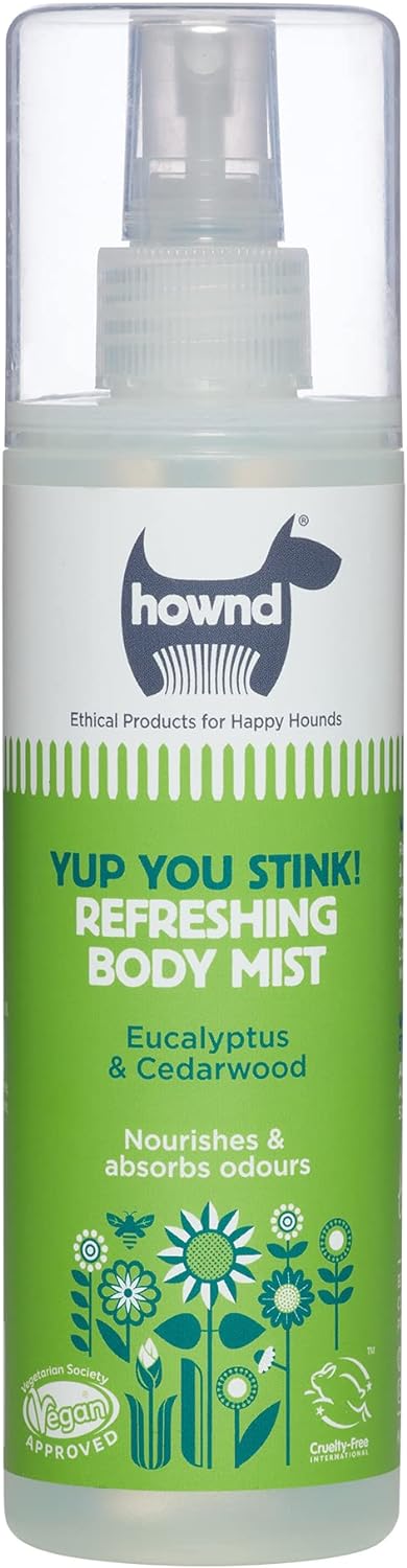 Yup You Stink Body Mist 250ml - Hownd