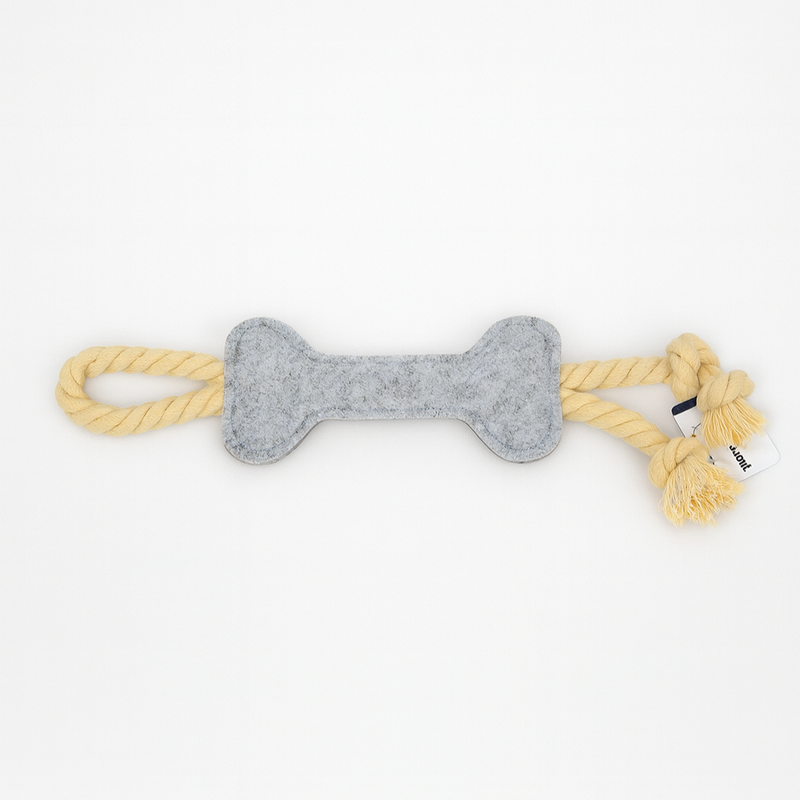 Interactive Fetch & Tug-of-War