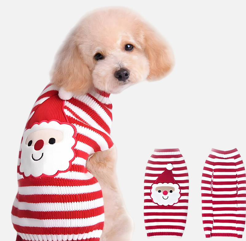 Dog wearing a red and white striped sweater with a Santa face design on a white background.
