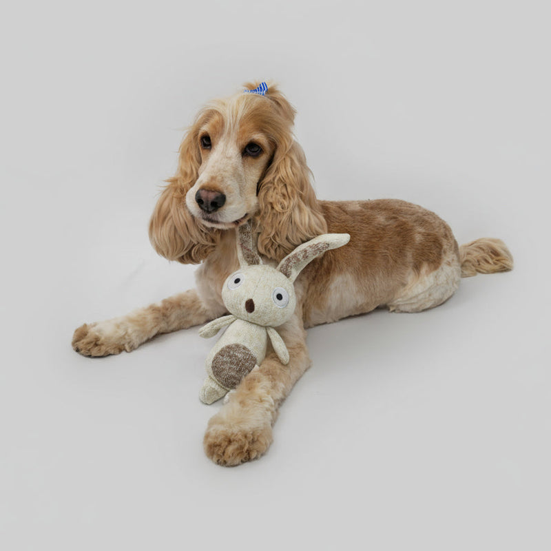 Dog lying on a white surface with a small plush toy resembling a rabbit.