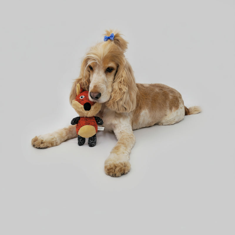 Dog lying on a white surface with a toy in its mouth