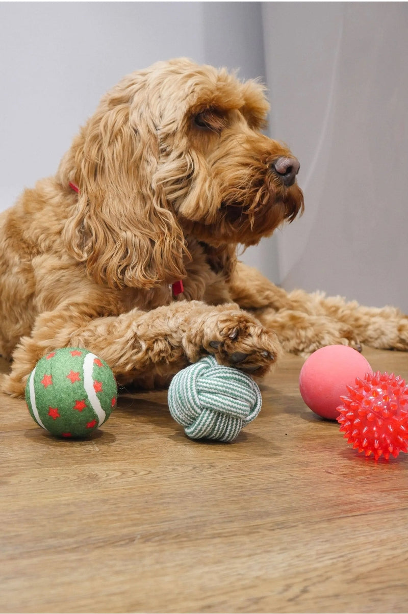 Christmas dog Balls Gift Pack - Rosewood