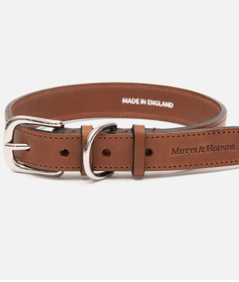 Tan leather dog collar - Mutts & Hounds