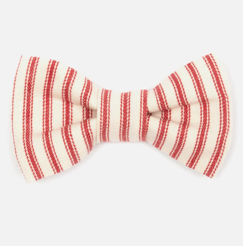 Red Ticking Stripe Dog Bow Tie

- Mutts & Hounds