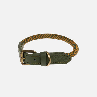 Green and brown patterned dog collar studio 