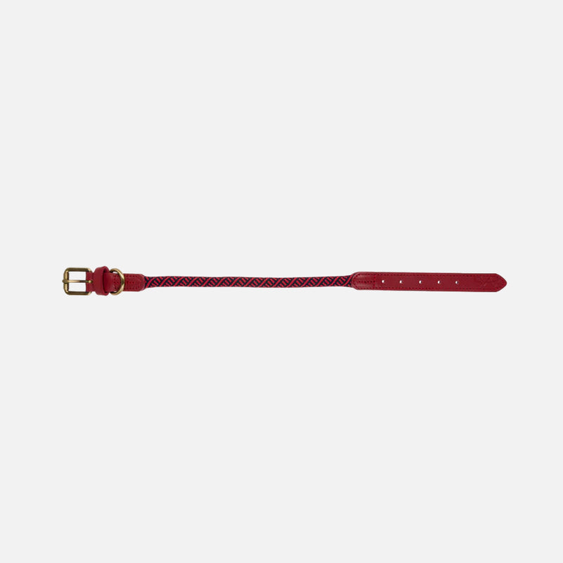 Red dog collar on a white background