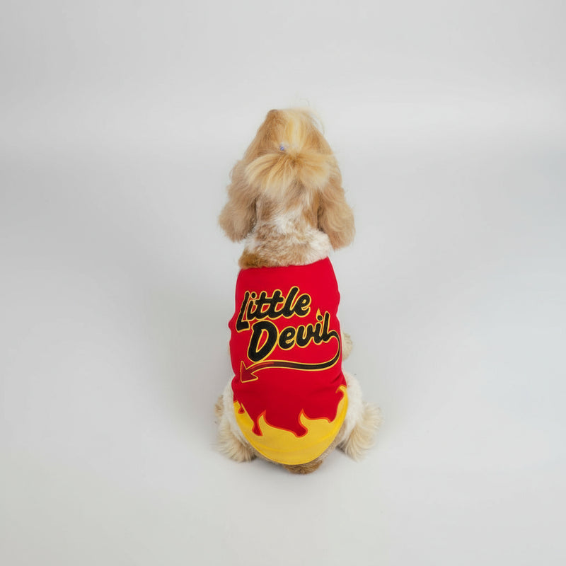 Dog wearing a red and yellow &