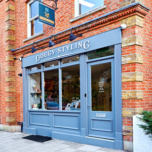 Surrey Dog Grooming - Doggy Styling