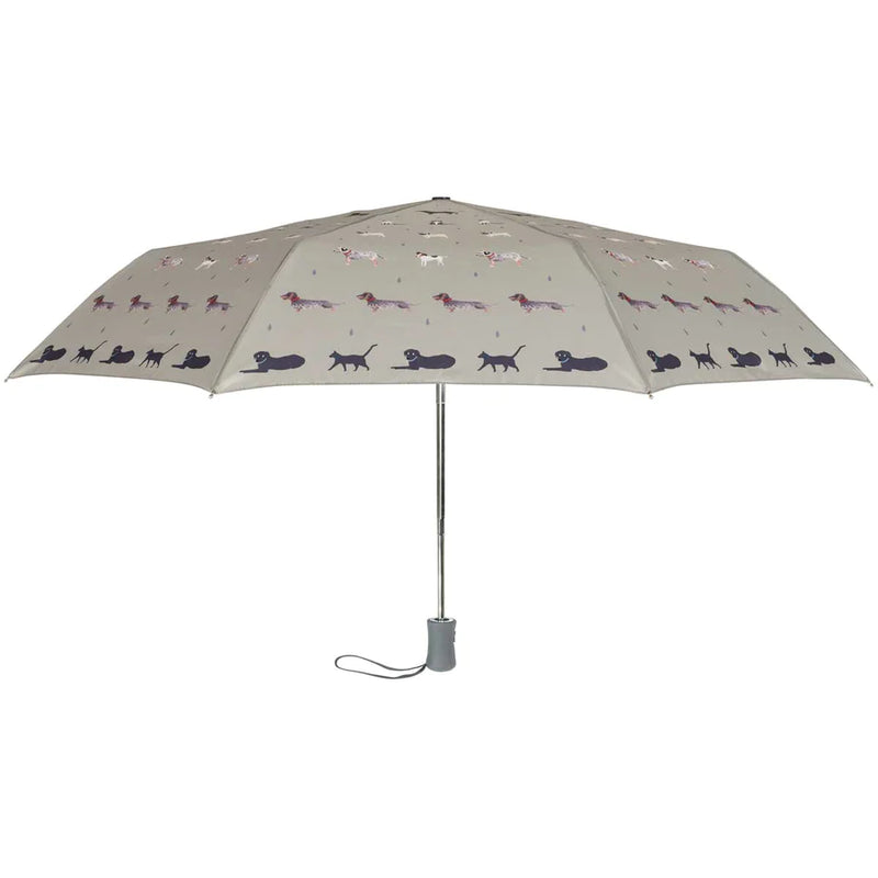 Umbrella Raining Cats & Dogs - Sophie Allport