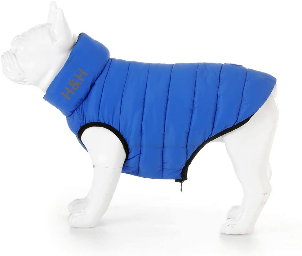 Puffer Jacket Hugo Hudson Doggy Styling