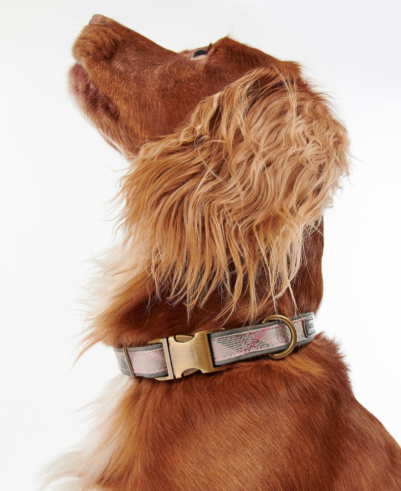 Reflective Tartan Dog Collar - Barbour