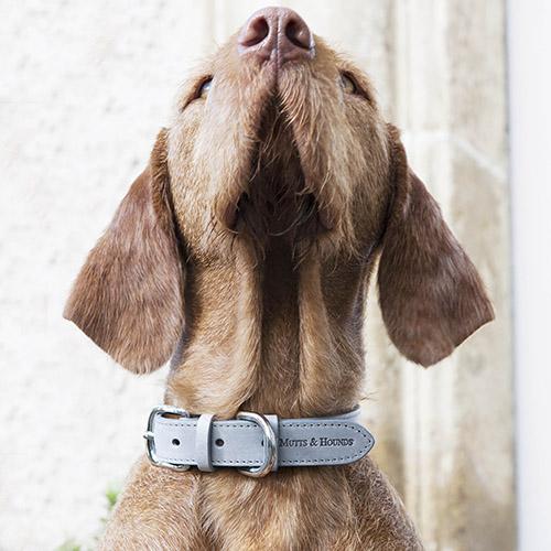 Grey Leather Dog Collar - Mutts & Hounds