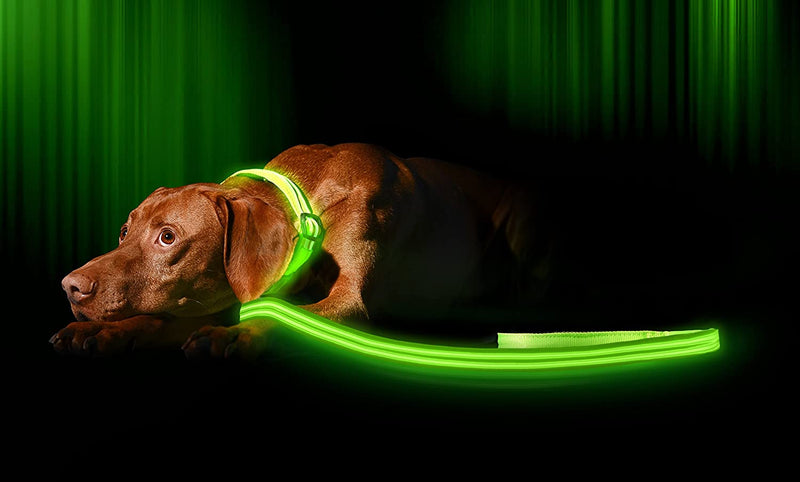 LED Dog Lead - Doggy Styling