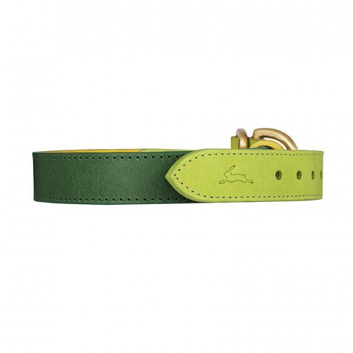 Leonard Lime Leather Dog Collar - LISH