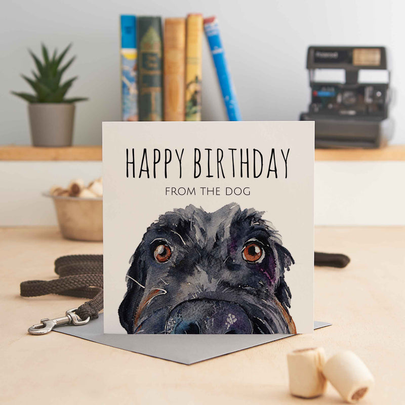 Happy Birthday from the Dog - Jo Scott Greeting Cards