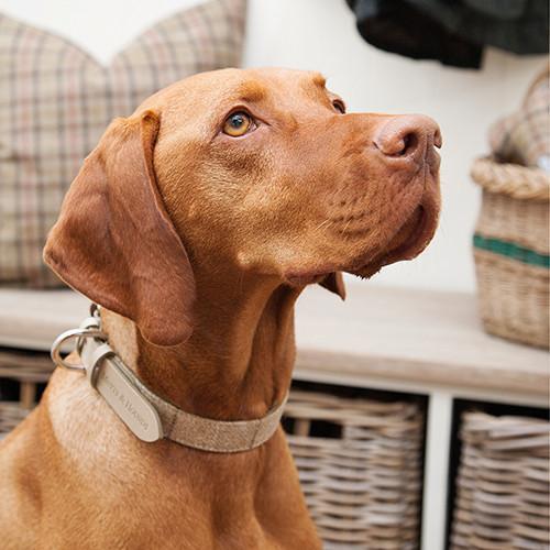 Oatmeal Check Tweed & Leather Dog Collar - Mutts & Hounds