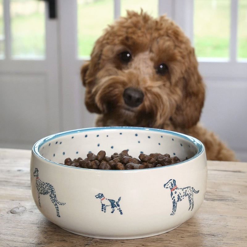 Fetch Stoneware Pet Bowl - Sophie Allport